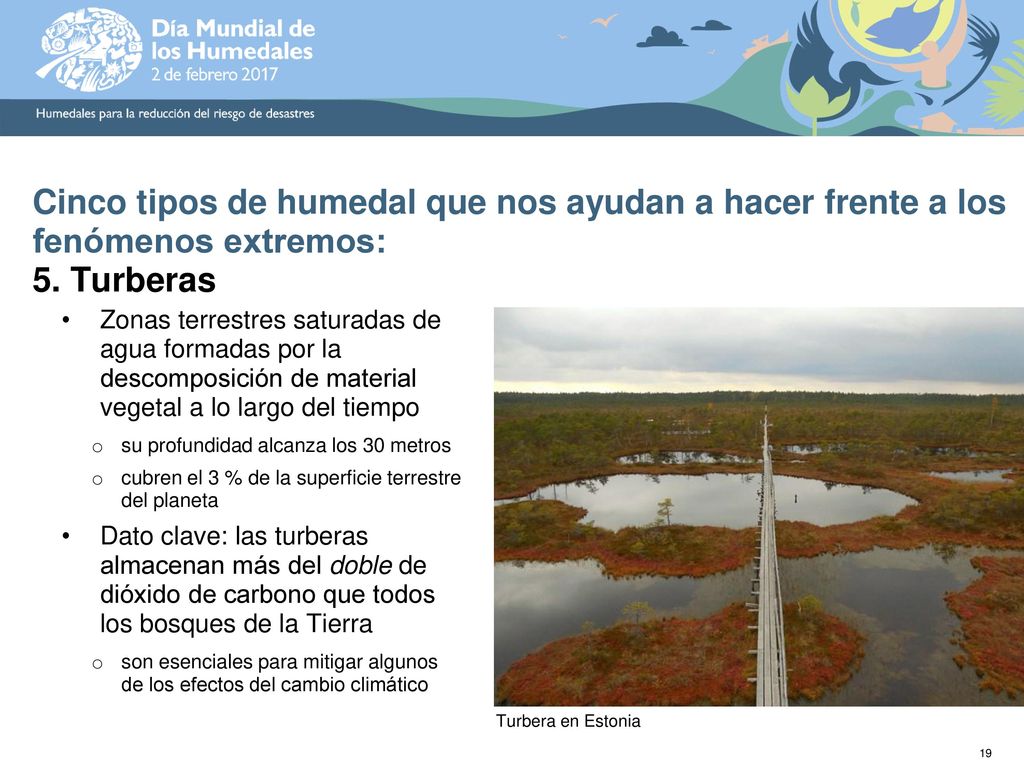 Cinco tipos de humedal que nos ayudan a hacer frente a los fenómenos extremos: 5. Turberas