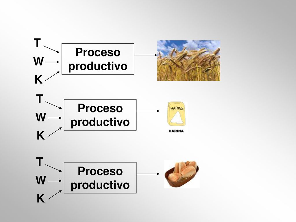 T W K Proceso productivo T W K Proceso productivo T W K Proceso productivo