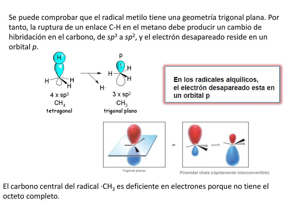 Se puede comprobar que el radical metilo tiene una geometría trigonal plana. Por tanto, la ruptura de un enlace C-H en el metano debe producir un cambio de hibridación en el carbono, de sp3 a sp2, y el electrón desapareado reside en un orbital p.