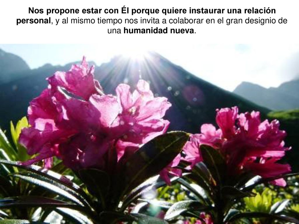 Nos propone estar con Él porque quiere instaurar una relación personal, y al mismo tiempo nos invita a colaborar en el gran designio de una humanidad nueva.