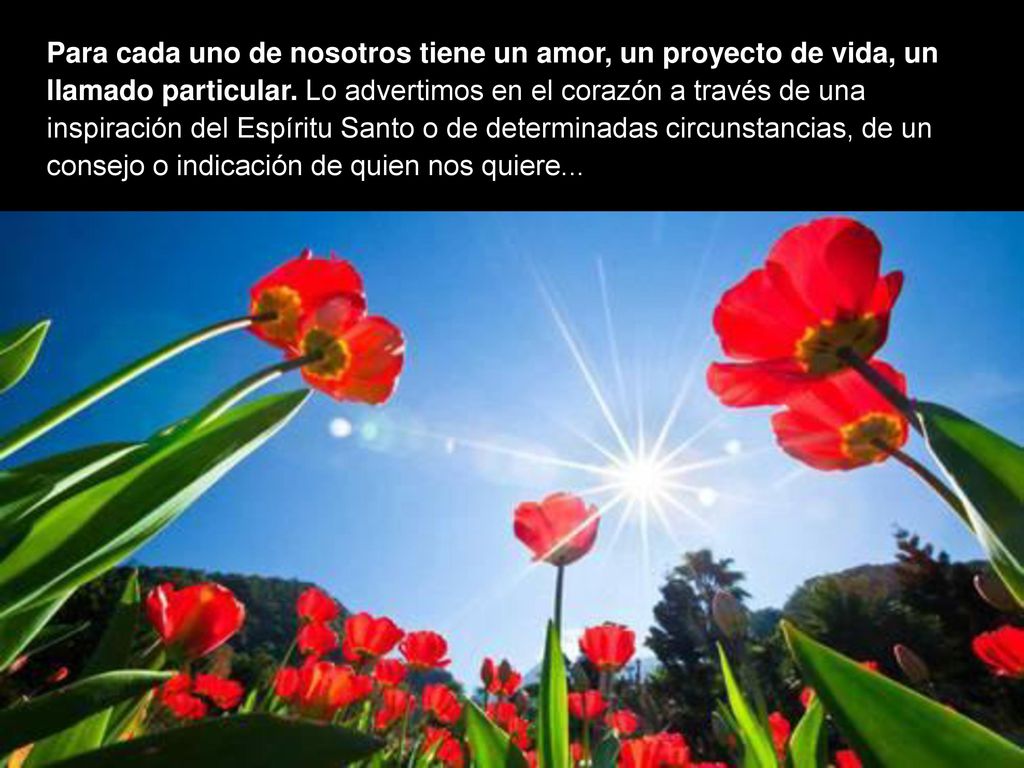 Para cada uno de nosotros tiene un amor, un proyecto de vida, un llamado particular.