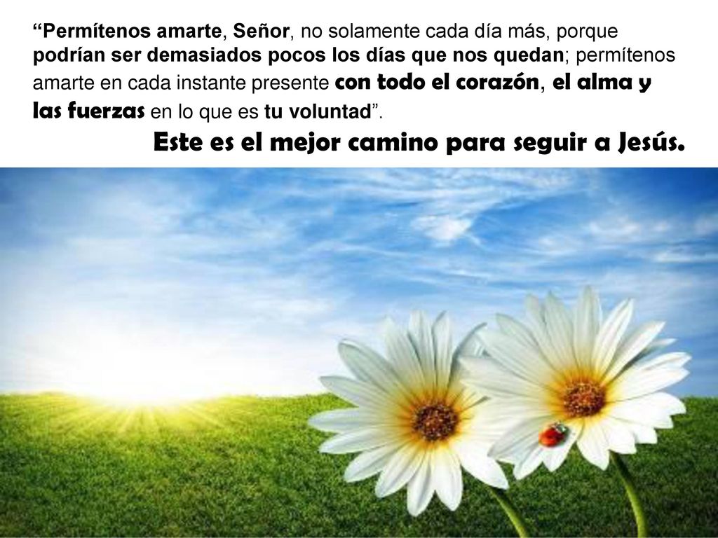 Este es el mejor camino para seguir a Jesús.