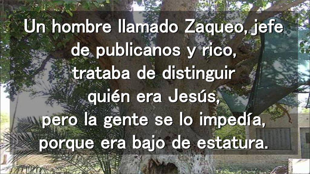 Un hombre llamado Zaqueo, jefe de publicanos y rico, trataba de distinguir quién era Jesús, pero la gente se lo impedía, porque era bajo de estatura.