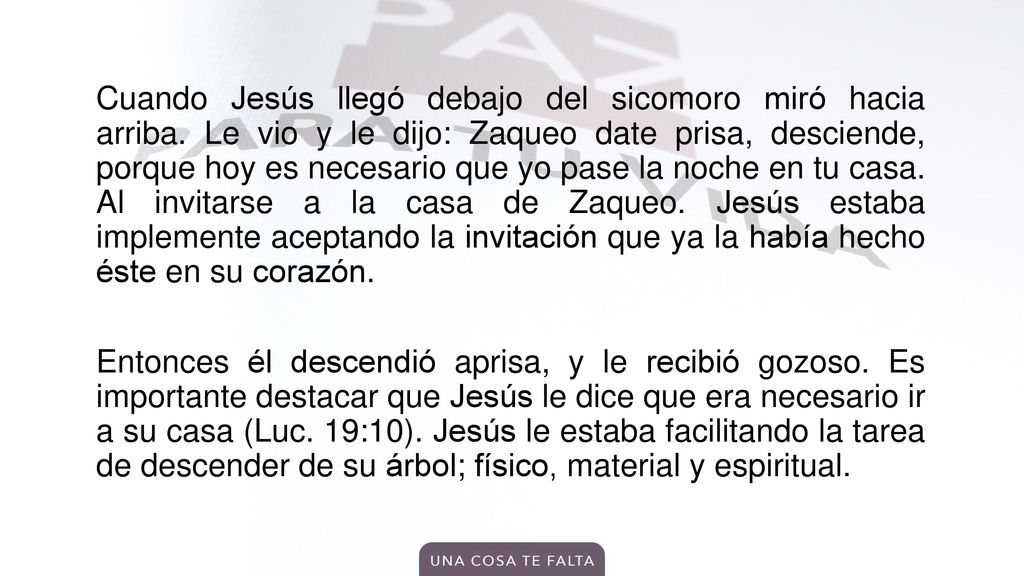 Cuando Jesús llegó debajo del sicomoro miró hacia arriba