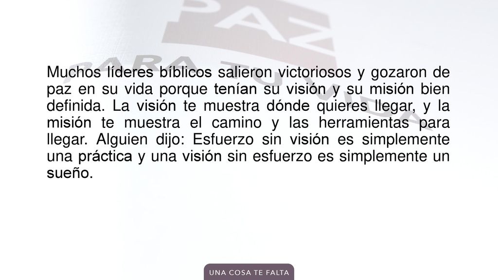 Muchos líderes bíblicos salieron victoriosos y gozaron de paz en su vida porque tenían su visión y su misión bien definida.
