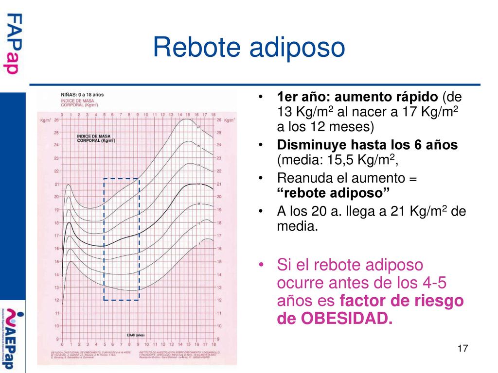 Rebote adiposo 1er año: aumento rápido (de 13 Kg/m2 al nacer a 17 Kg/m2 a los 12 meses) Disminuye hasta los 6 años (media: 15,5 Kg/m2,