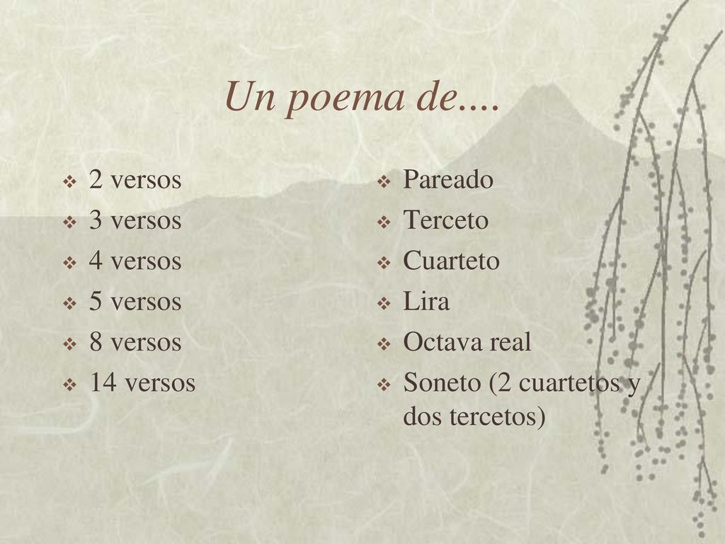 Un poema de versos 3 versos 4 versos 5 versos 8 versos 14 versos