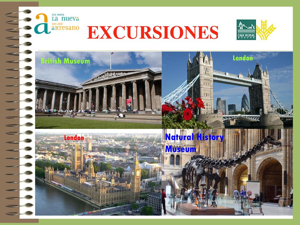 EXCURSIONES London London British Museum Natural History Museum London
