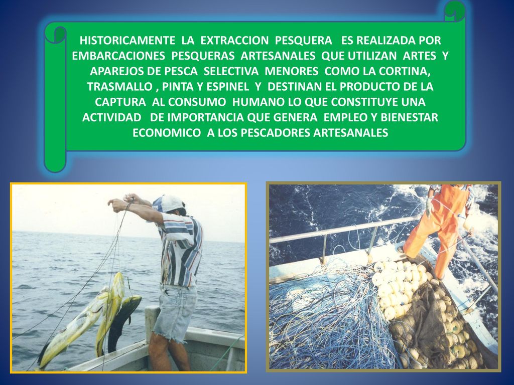 HISTORICAMENTE LA EXTRACCION PESQUERA ES REALIZADA POR EMBARCACIONES PESQUERAS ARTESANALES QUE UTILIZAN ARTES Y APAREJOS DE PESCA SELECTIVA MENORES COMO LA CORTINA, TRASMALLO , PINTA Y ESPINEL Y DESTINAN EL PRODUCTO DE LA CAPTURA AL CONSUMO HUMANO LO QUE CONSTITUYE UNA ACTIVIDAD DE IMPORTANCIA QUE GENERA EMPLEO Y BIENESTAR ECONOMICO A LOS PESCADORES ARTESANALES