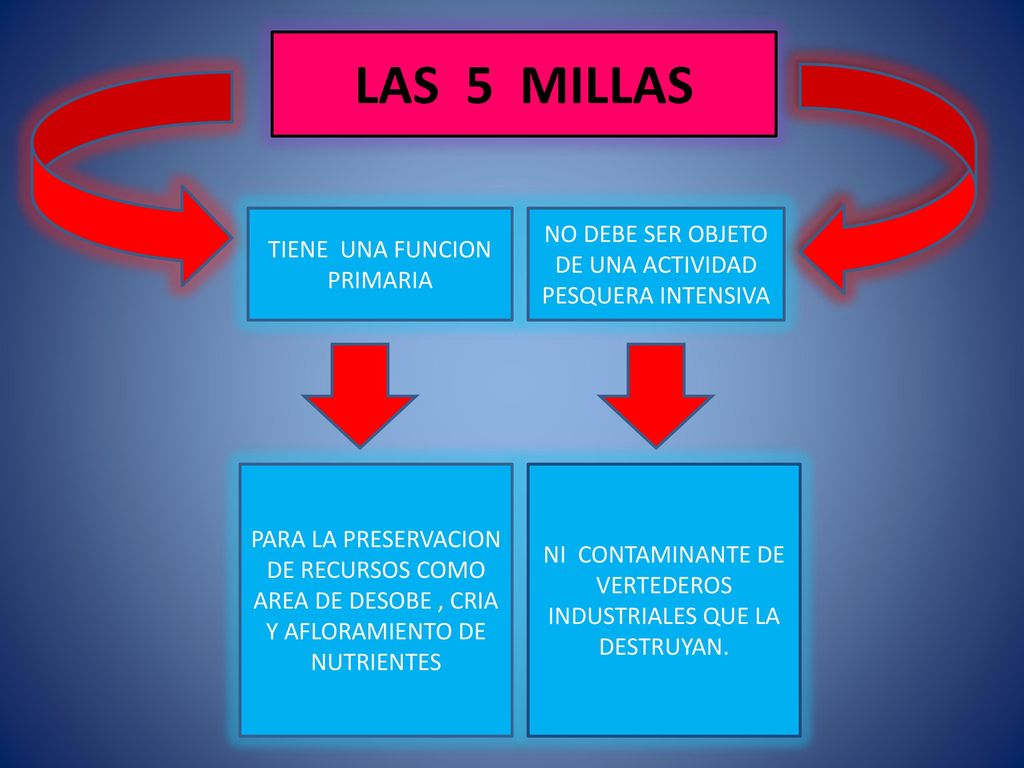 LAS 5 MILLAS NO DEBE SER OBJETO DE UNA ACTIVIDAD PESQUERA INTENSIVA