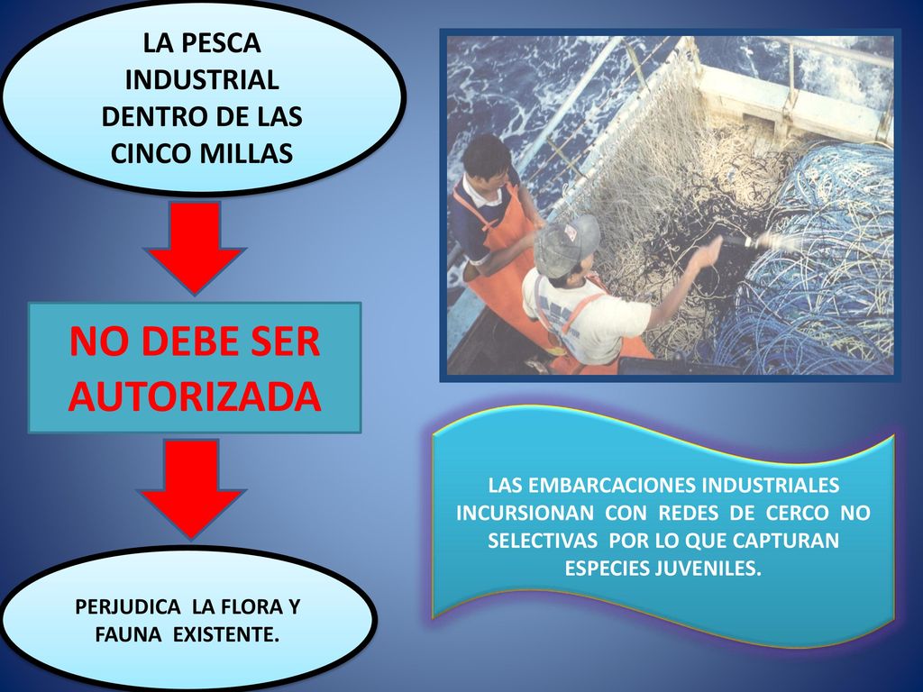 NO DEBE SER AUTORIZADA LA PESCA INDUSTRIAL DENTRO DE LAS CINCO MILLAS