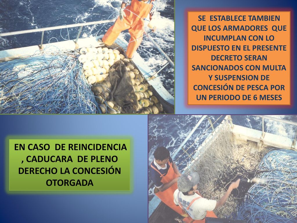 SE ESTABLECE TAMBIEN QUE LOS ARMADORES QUE INCUMPLAN CON LO DISPUESTO EN EL PRESENTE DECRETO SERAN SANCIONADOS CON MULTA Y SUSPENSION DE CONCESIÓN DE PESCA POR UN PERIODO DE 6 MESES