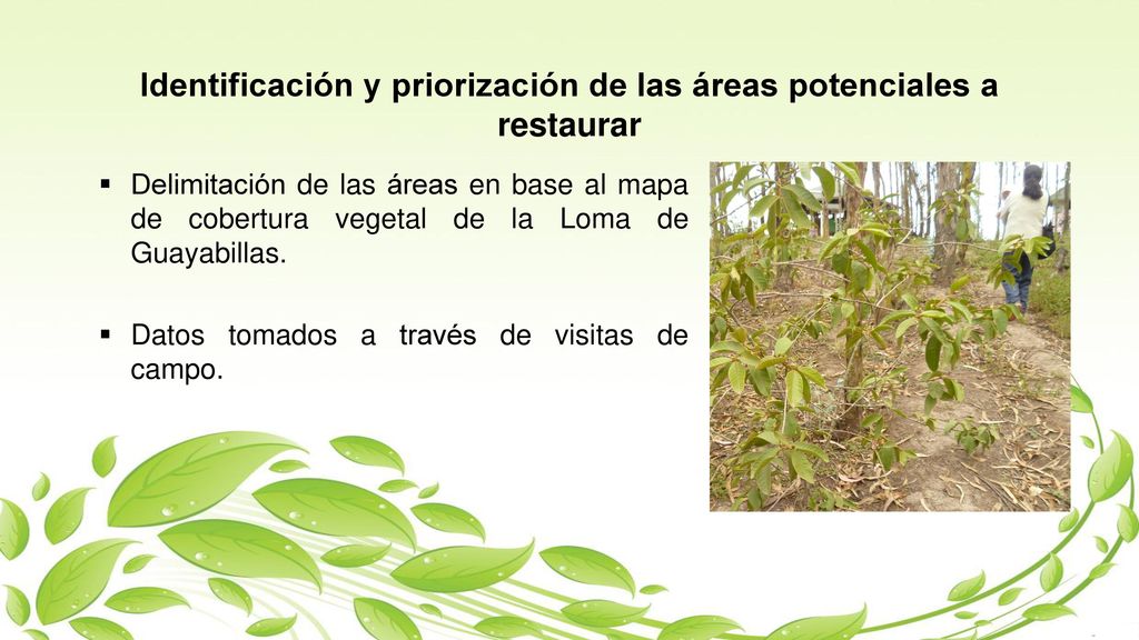 Identificación y priorización de las áreas potenciales a restaurar