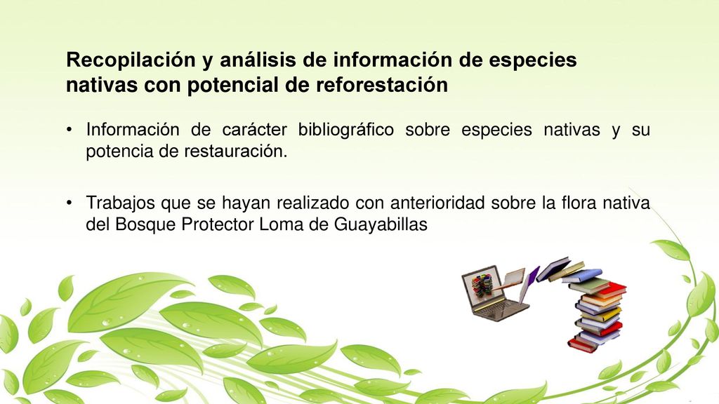 Recopilación y análisis de información de especies nativas con potencial de reforestación