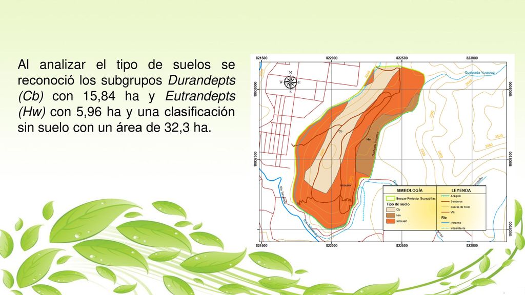 Al analizar el tipo de suelos se reconoció los subgrupos Durandepts (Cb) con 15,84 ha y Eutrandepts (Hw) con 5,96 ha y una clasificación sin suelo con un área de 32,3 ha.