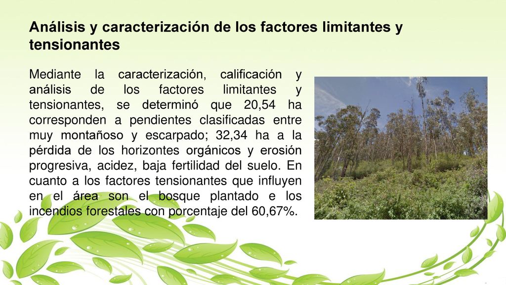 Análisis y caracterización de los factores limitantes y tensionantes