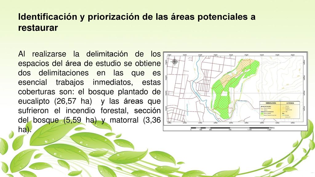 Identificación y priorización de las áreas potenciales a restaurar
