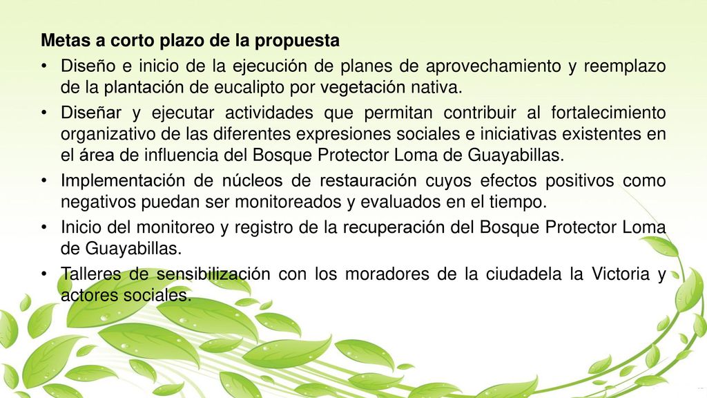 Metas a corto plazo de la propuesta