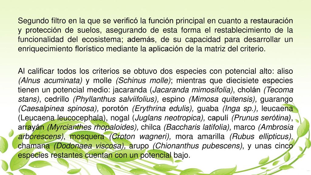 Segundo filtro en la que se verificó la función principal en cuanto a restauración y protección de suelos, asegurando de esta forma el restablecimiento de la funcionalidad del ecosistema; además, de su capacidad para desarrollar un enriquecimiento florístico mediante la aplicación de la matriz del criterio.