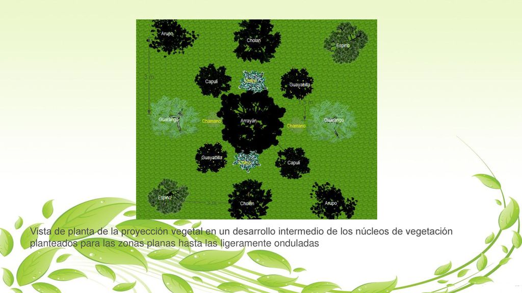 Vista de planta de la proyección vegetal en un desarrollo intermedio de los núcleos de vegetación planteados para las zonas planas hasta las ligeramente onduladas