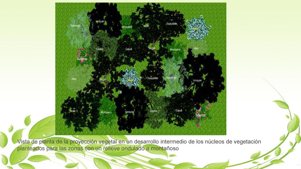 Vista de planta de la proyección vegetal en un desarrollo intermedio de los núcleos de vegetación planteados para las zonas con un relieve ondulado a montañoso