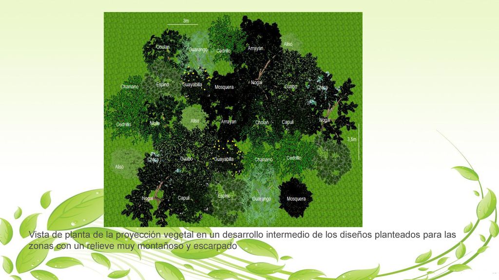 Vista de planta de la proyección vegetal en un desarrollo intermedio de los diseños planteados para las zonas con un relieve muy montañoso y escarpado
