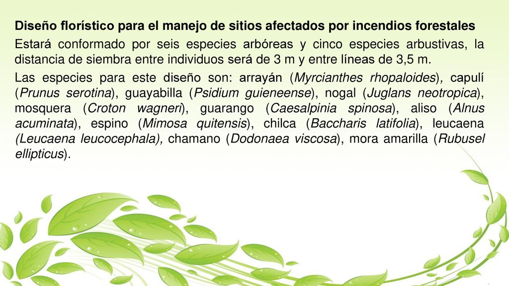 Diseño florístico para el manejo de sitios afectados por incendios forestales