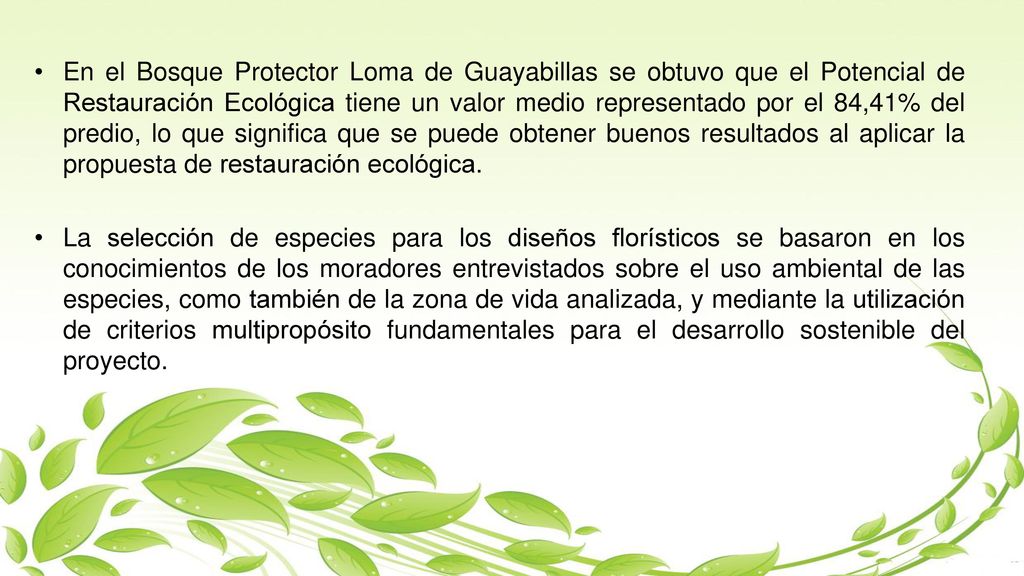 En el Bosque Protector Loma de Guayabillas se obtuvo que el Potencial de Restauración Ecológica tiene un valor medio representado por el 84,41% del predio, lo que significa que se puede obtener buenos resultados al aplicar la propuesta de restauración ecológica.