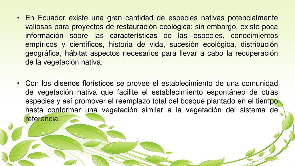 En Ecuador existe una gran cantidad de especies nativas potencialmente valiosas para proyectos de restauración ecológica; sin embargo, existe poca información sobre las características de las especies, conocimientos empíricos y científicos, historia de vida, sucesión ecológica, distribución geográfica, hábitat aspectos necesarios para llevar a cabo la recuperación de la vegetación nativa.