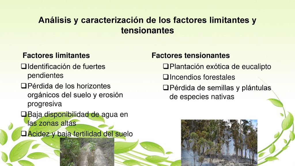 Análisis y caracterización de los factores limitantes y tensionantes