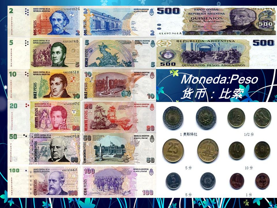 Moneda:Peso 货币：比索