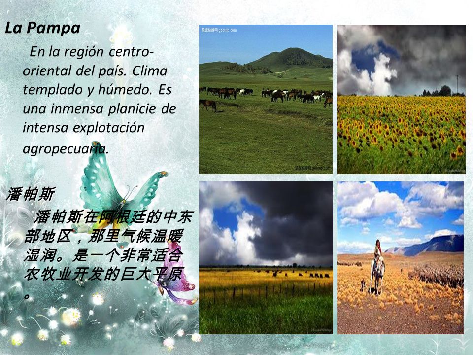 La Pampa En la región centro-oriental del país. Clima templado y húmedo. Es una inmensa planicie de intensa explotación agropecuaria.