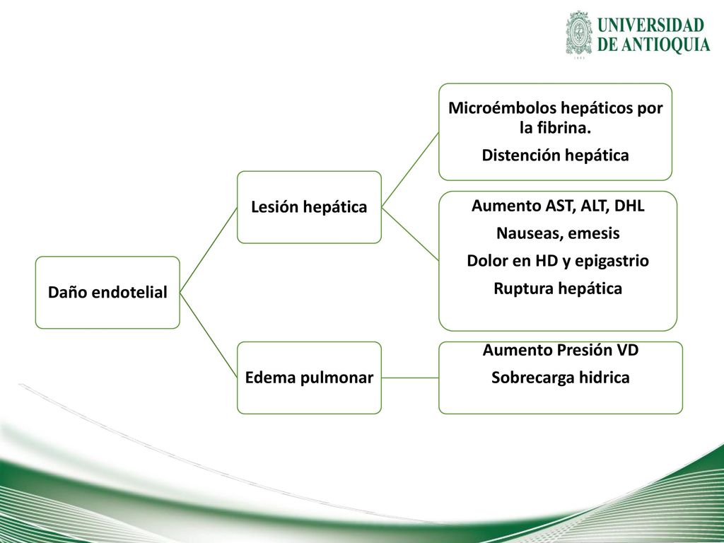 Microémbolos hepáticos por la fibrina. Dolor en HD y epigastrio