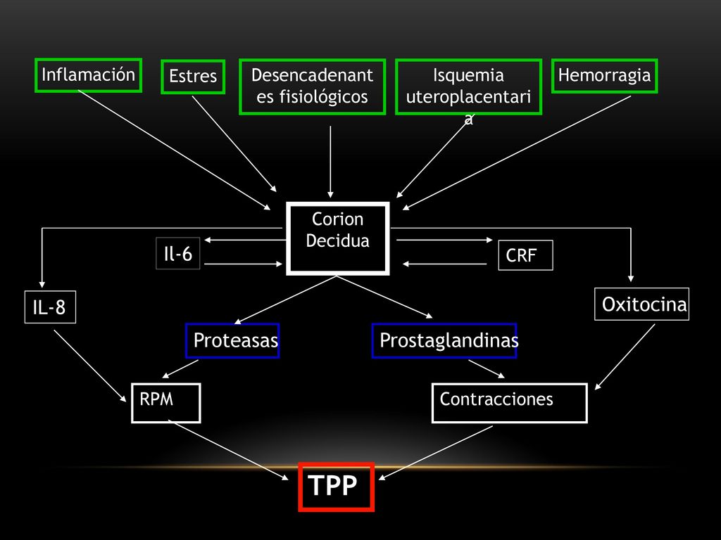 TPP Il-6 IL-8 Oxitocina Proteasas Prostaglandinas Inflamación Estres