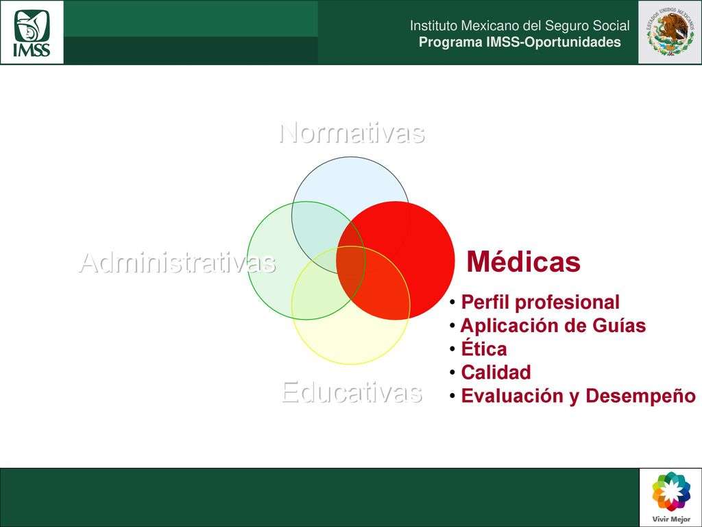 Perfil profesional Aplicación de Guías Ética Calidad Evaluación y Desempeño