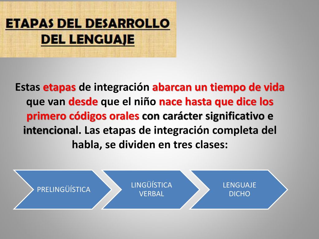 Estas etapas de integración abarcan un tiempo de vida que van desde que el niño nace hasta que dice los primero códigos orales con carácter significativo e intencional. Las etapas de integración completa del habla, se dividen en tres clases: