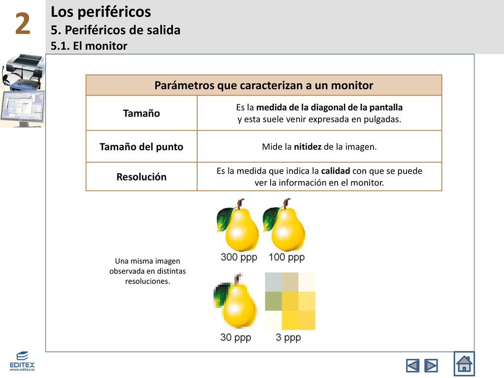 Los periféricos 5. Periféricos de salida 5.1. El monitor