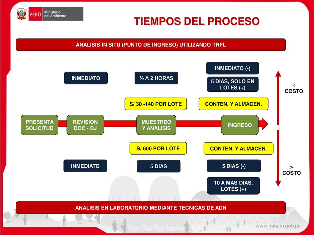 TIEMPOS DEL PROCESO INMEDIATO ½ A 2 HORAS INMEDIATO (-)