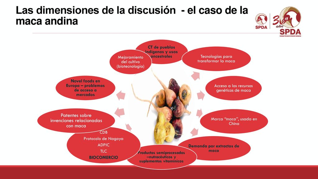Las dimensiones de la discusión - el caso de la maca andina