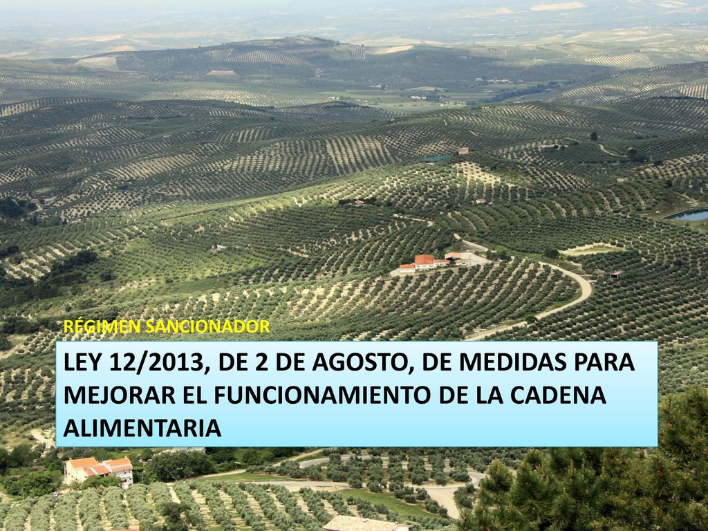 RÉGIMEN SANCIONADOR Ley 12/2013, de 2 de agosto, de medidas para mejorar el funcionamiento de la cadena alimentaria.