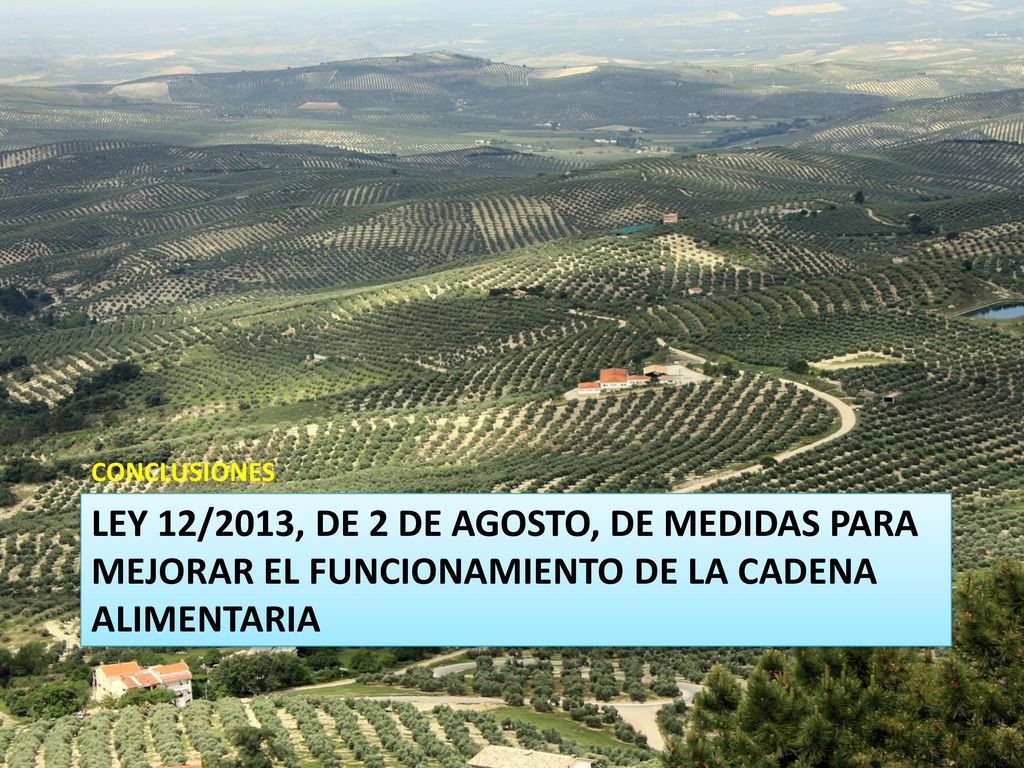 CONCLUSIONES Ley 12/2013, de 2 de agosto, de medidas para mejorar el funcionamiento de la cadena alimentaria.