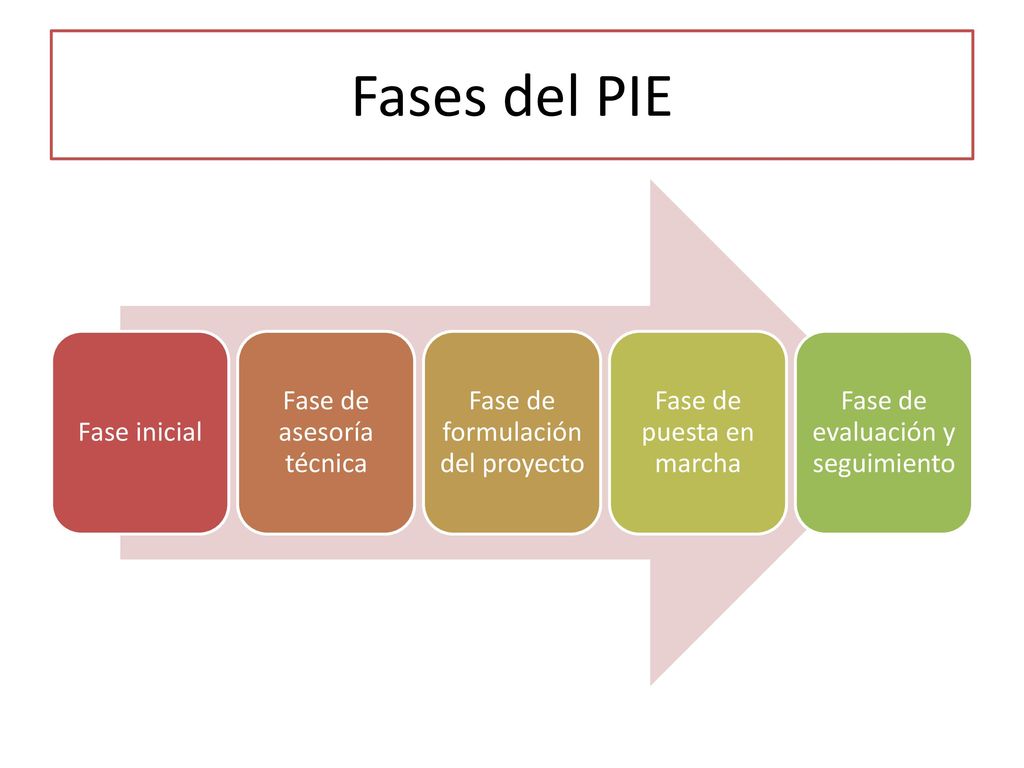 Fases del PIE Fase inicial Fase de asesoría técnica