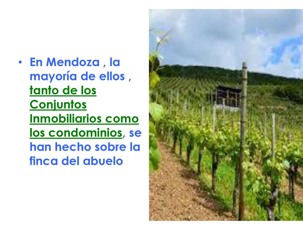 En Mendoza , la mayoría de ellos , tanto de los Conjuntos Inmobiliarios como los condominios, se han hecho sobre la finca del abuelo