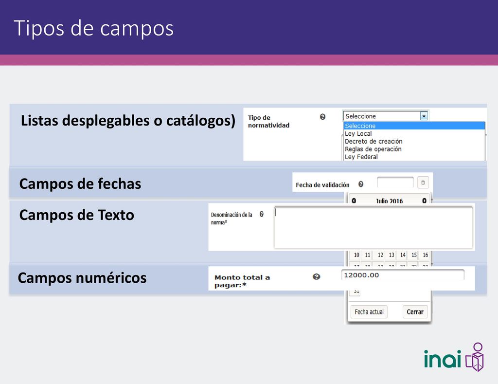 Tipos de campos Listas desplegables o catálogos) Campos de fechas