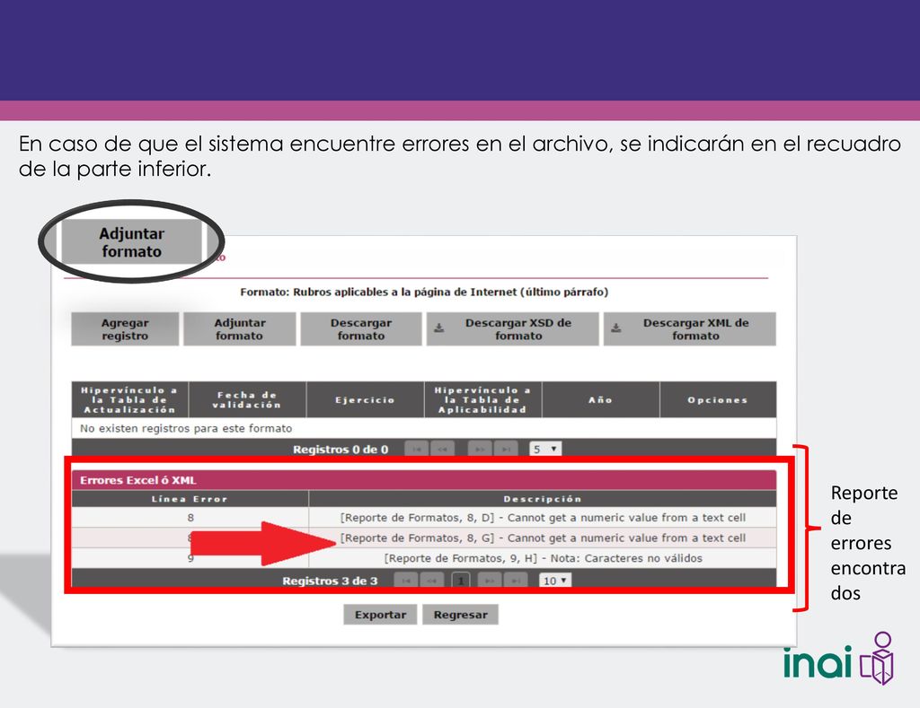 En caso de que el sistema encuentre errores en el archivo, se indicarán en el recuadro de la parte inferior.