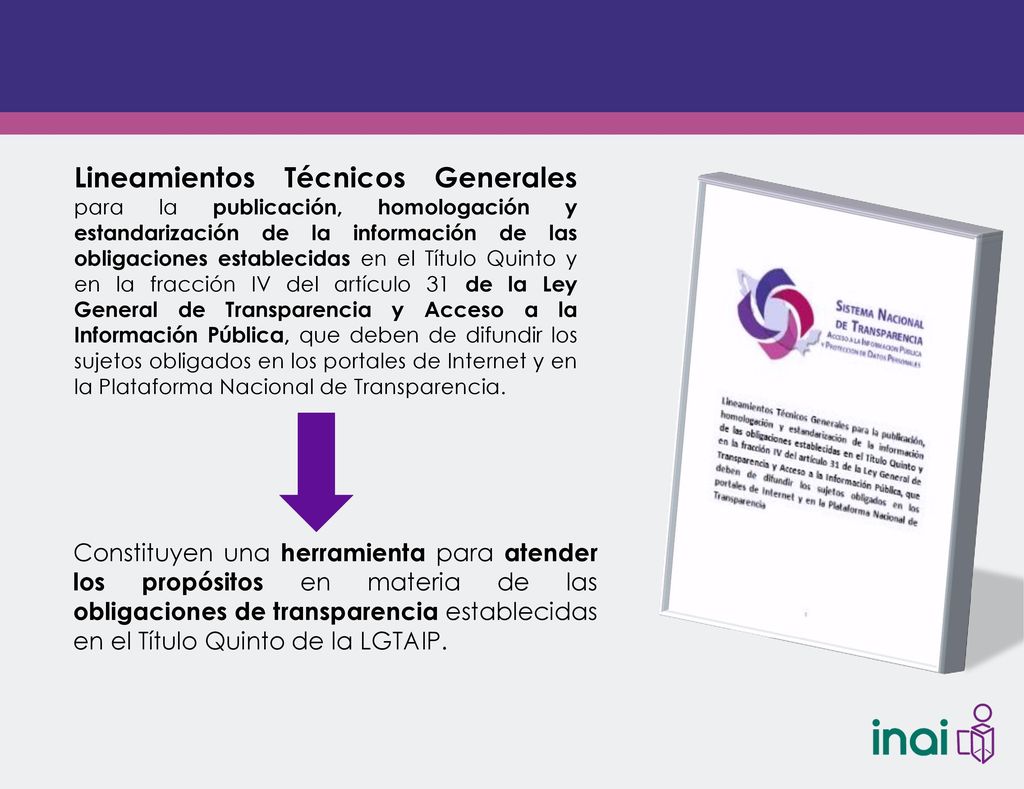 Lineamientos Técnicos Generales para la publicación, homologación y estandarización de la información de las obligaciones establecidas en el Título Quinto y en la fracción IV del artículo 31 de la Ley General de Transparencia y Acceso a la Información Pública, que deben de difundir los sujetos obligados en los portales de Internet y en la Plataforma Nacional de Transparencia.