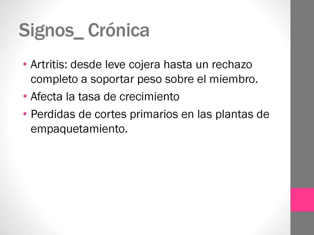 Signos_ Crónica Artritis: desde leve cojera hasta un rechazo completo a soportar peso sobre el miembro.
