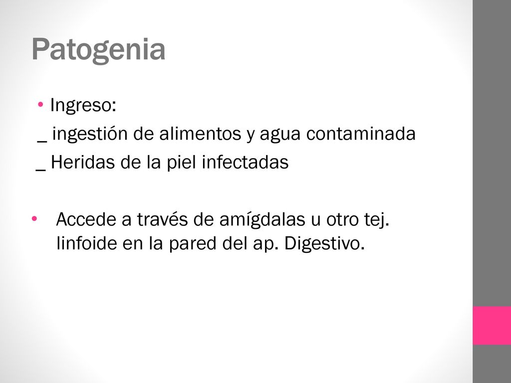Patogenia Ingreso: _ ingestión de alimentos y agua contaminada