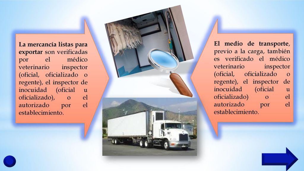 La mercancía listas para exportar son verificadas por el médico veterinario inspector (oficial, oficializado o regente), el inspector de inocuidad (oficial u oficializado), o el autorizado por el establecimiento.