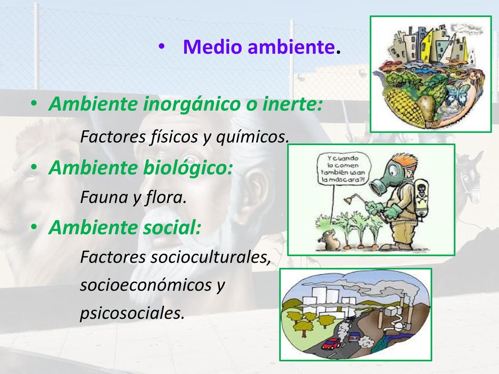 Ambiente inorgánico o inerte: Factores físicos y químicos.